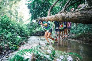 BIB: 
                            <button type="button" onclick="openModal(25444798)" class="btn btn-primary btn-sm float-right btn-popup" data-toggle="modal" data-target=".modal-high-quality">
                        <i class="fas fa-shopping-cart"></i> Add to Cart
                    </button>
                                            <button type="button" onclick="isThisMe(25444798, true)" class="btn btn-success btn-sm float-right btn-popup btn-isme hidden" data-toggle="tooltip" data-placement="bottom" title="นี่คือรูปของคุณใช่ไหม คลิกที่นี่เพื่อเอาเข้าอัลบั้ม">
                        <i class="fas fa-plus"></i> Add to album
                    </button>
                    <button type="button" onclick="isThisMe(25444798, false)" class="btn btn-warning btn-sm float-right btn-popup btn-isnotme hidden">
                        <i class="fas fa-ban"></i> Remove from album
                    </button>